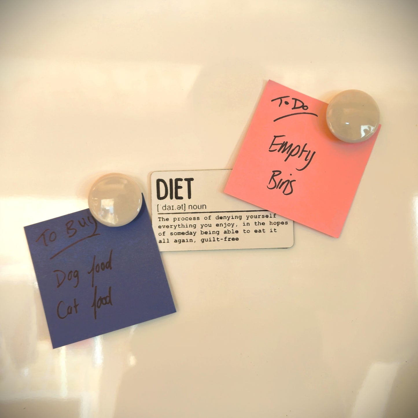 The Dictionary Range: Diet Fridge Magnet