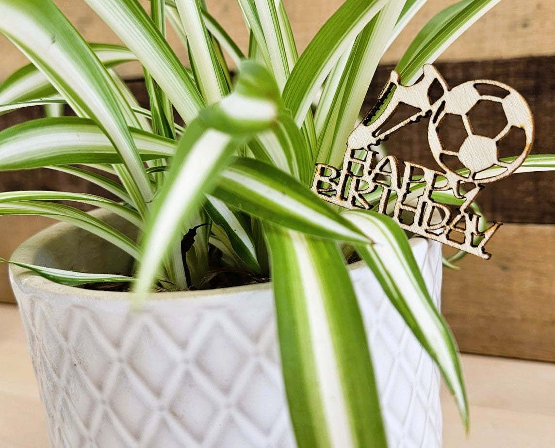Football Fanatics Birthday Cake Toppers