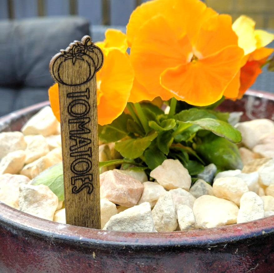 Large Rustic Veggie ID Stakes