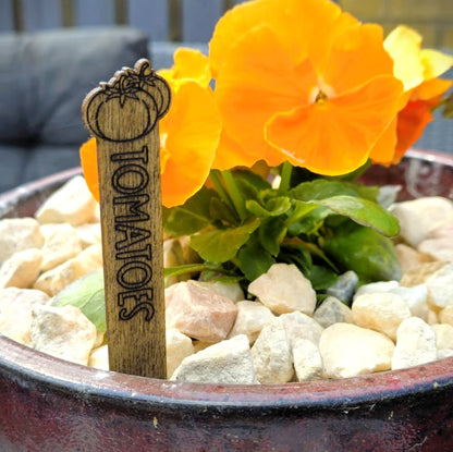Large Rustic Veggie ID Stakes